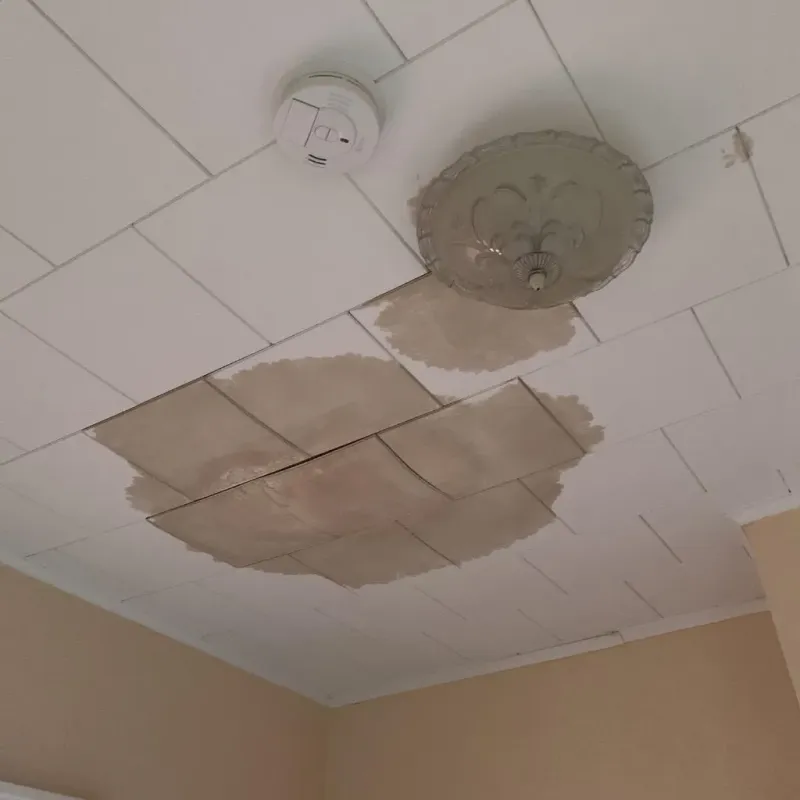 Ceiling Water Damage Repair in Wampsville, NY